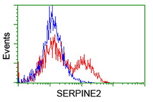 HEK293T cells transfected with either SERPINE2 (Myc-DDK-tagged) overexpress plasmid (Red) or empty vector control plasmid (Blue) were immunostained by anti-SERPINE2 antibody (M01863-1)