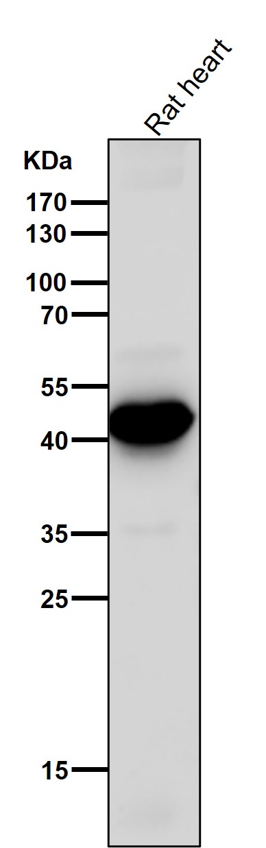 m01869 wb8