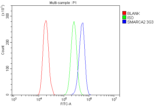 m01888 smarca2 primary antibodies fcm testing 3