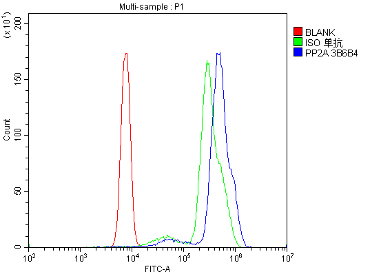 m01893 1 pp2a1 primary antibodies fcm testing 3