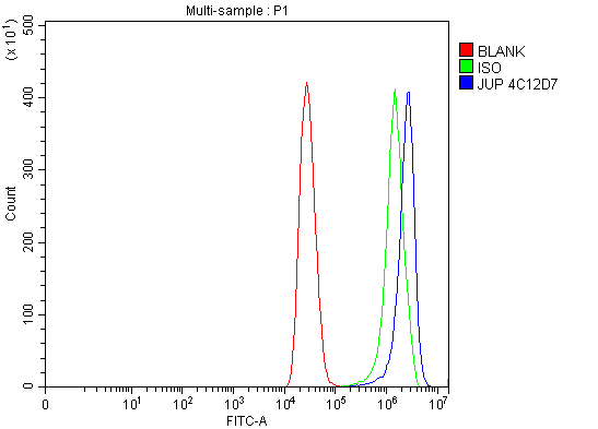 m01901 3 gamma catenin primary antibodies fcm testing 5