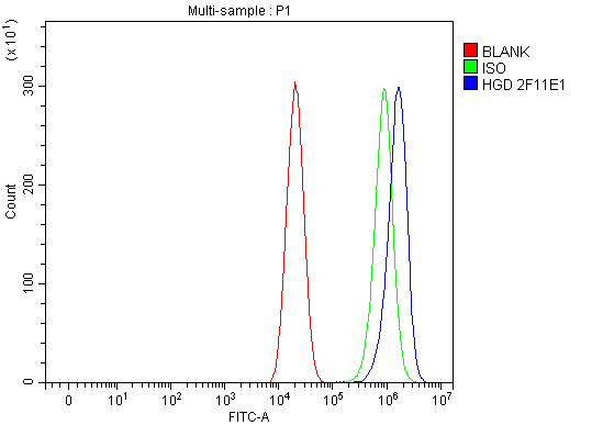  Flow Cytometry analysis of CACO-2 cells using anti-HGD antibody (M01909-1)