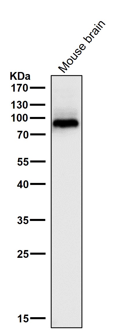 m01940 2 wb7_1