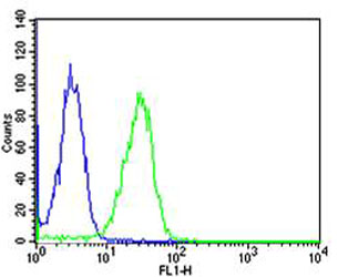 Flow cytometric analysis of Hela cells using CAPN1 Antibody (green, Cat#M01943-1) compared to an isotype control of mouse IgG1 (blue)
