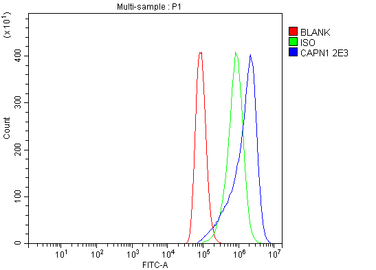  Flow Cytometry analysis of A549 cells using anti-Calpain 1 antibody (M01943-4)