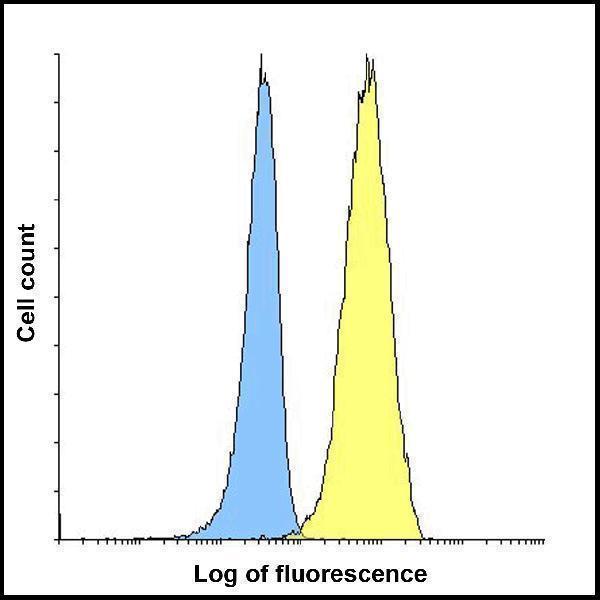m01962 1 tigit primary antibodies fcm testing 6