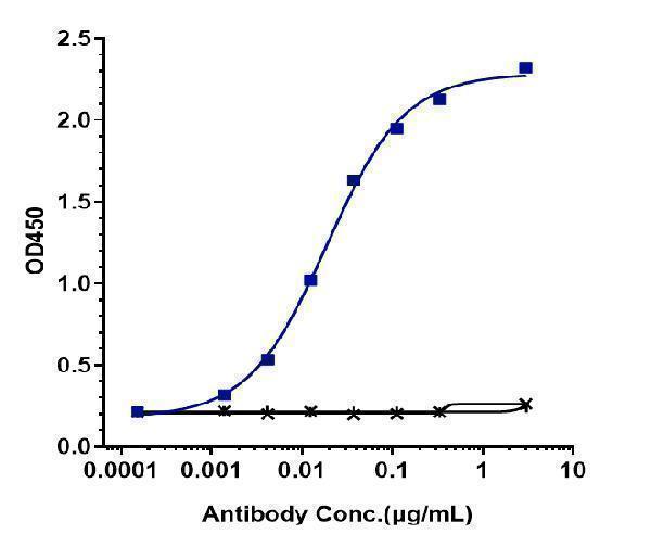 Immobilized human TIGIT His at 2 &mug/mL can bind Anti-TIGIT Reference Antibody (vibostolimab)