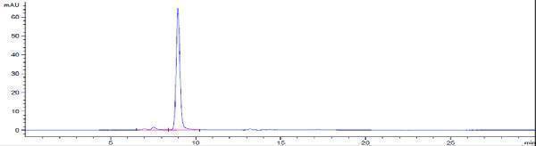 The purity of Anti-TIGIT Reference Antibody (etigilimab)is more than 95
