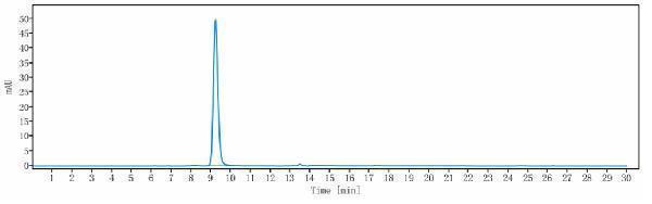 The purity of Anti-TIGIT Reference Antibody (domvanalimab)is more than 99