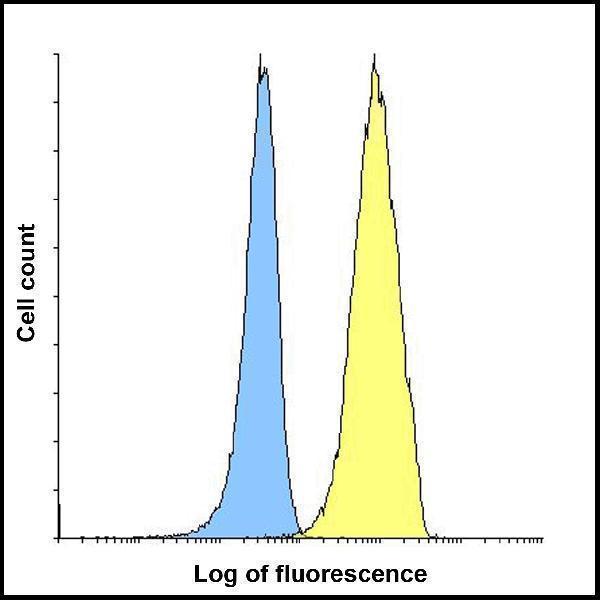 m01962 tigit primary antibodies fcm testing 5