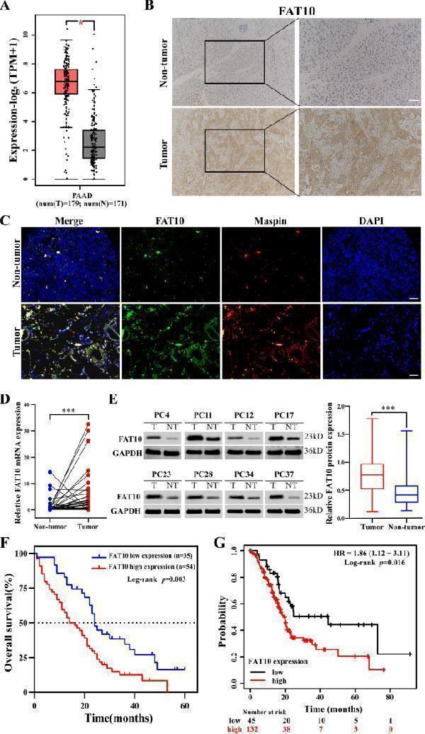 m01970 41419_2022_4960_fig1_html