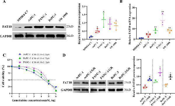 m01970 41419_2022_4960_fig2_html