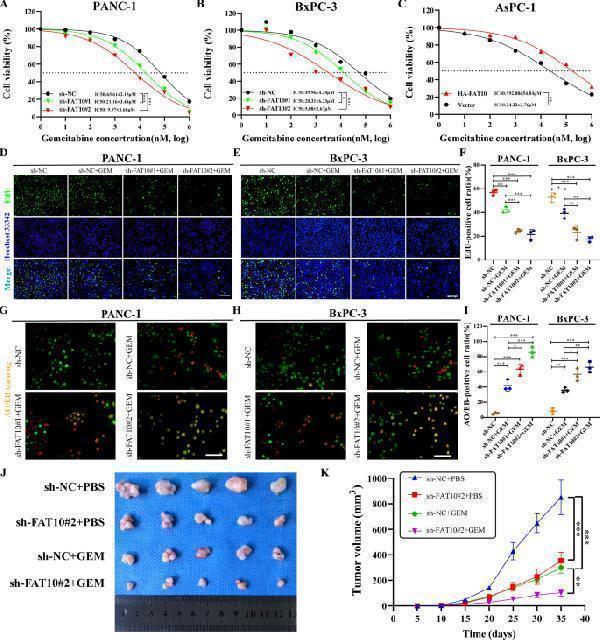 m01970 41419_2022_4960_fig3_html