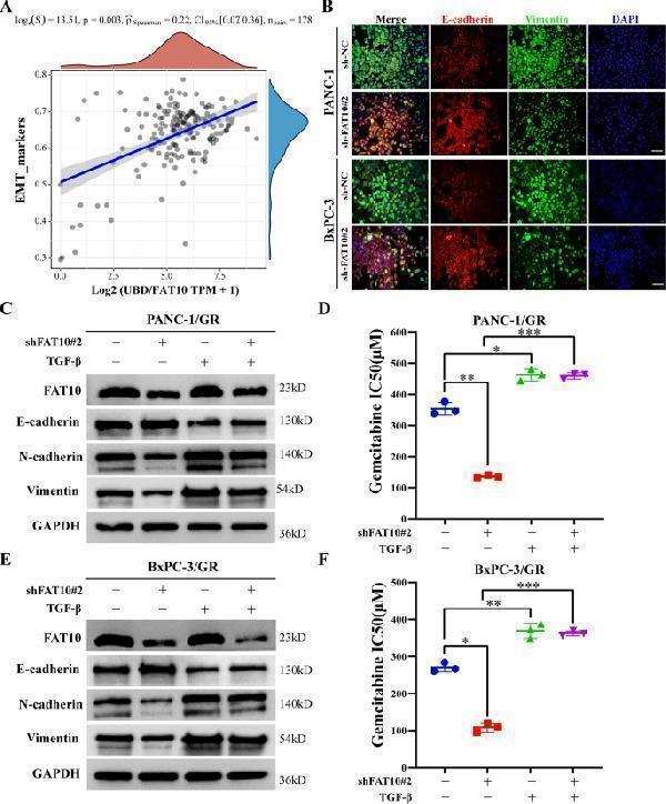m01970 41419_2022_4960_fig4_html