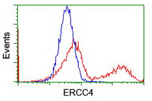 m01993 anti xpf ercc4 mouse monoclonal antibody clone id oti4e11 flow cytometry testing 16