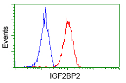 m02010 anti igf2bp2 mouse monoclonal antibody clone id oti3f9 flow cytometry testing 10