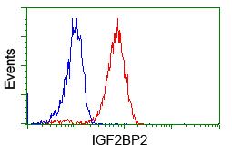 m02010 anti igf2bp2 mouse monoclonal antibody clone id oti3f9 flow cytometry testing 11