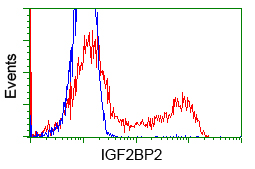 m02010 anti igf2bp2 mouse monoclonal antibody clone id oti3f9 flow cytometry testing 9