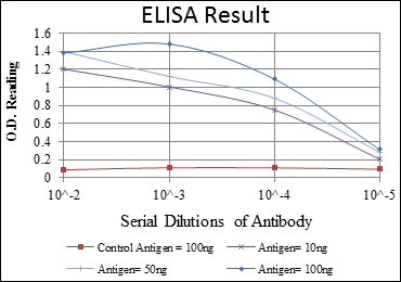 m02011 1 map2k6 primary antibodies wb testing 1