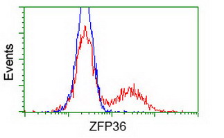 m02028 1 anti tristetraprolin zfp36 mouse monoclonal antibody clone id oti8b5 flow cytometry testing 8