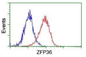 m02028 anti tristetraprolin zfp36 mouse monoclonal antibody clone id oti1a2 flow cytometry testing 11