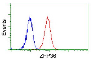 m02028 anti tristetraprolin zfp36 mouse monoclonal antibody clone id oti1a2 flow cytometry testing 12