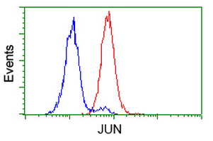 m02038 1 anti c jun jun mouse monoclonal antibody clone id oti3g2 flow cytometry testing 3