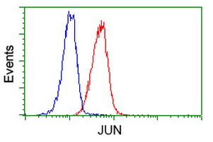 m02038 1 anti c jun jun mouse monoclonal antibody clone id oti3g2 flow cytometry testing 4