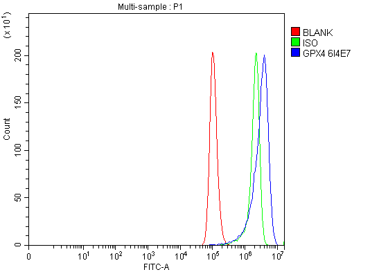  Flow Cytometry analysis of Hela cells using anti-Glutathione Peroxidase 4/GPX4 antibody (M02059-1)