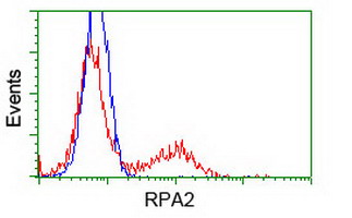 m02067 1 anti rpa34 rpa2 mouse monoclonal antibody clone id oti1h10 flow cytometry testing 12