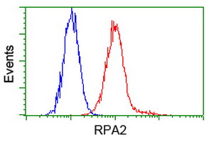 m02067 1 anti rpa34 rpa2 mouse monoclonal antibody clone id oti1h10 flow cytometry testing 13