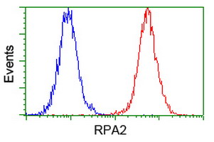 m02067 1 anti rpa34 rpa2 mouse monoclonal antibody clone id oti1h10 flow cytometry testing 14