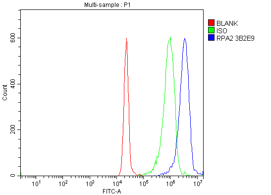 m02067 2 rpa2 primary antibodies fcm testing 7