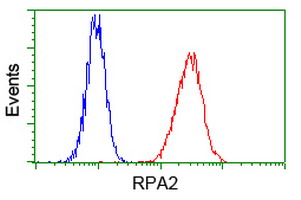 m02067 anti rpa34 rpa2 mouse monoclonal antibody clone id oti9a1 flow cytometry testing 18