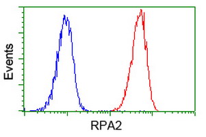m02067 anti rpa34 rpa2 mouse monoclonal antibody clone id oti9a1 flow cytometry testing 19