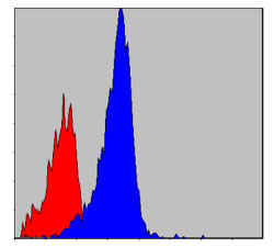 Flow Cytometry validation of CRKL using Anti-Crk-L Monoclonal Antibody (M02100)