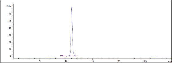 The purity of Anti-NT5E/CD73 Reference Antibody (uliledlimab)is more than 98