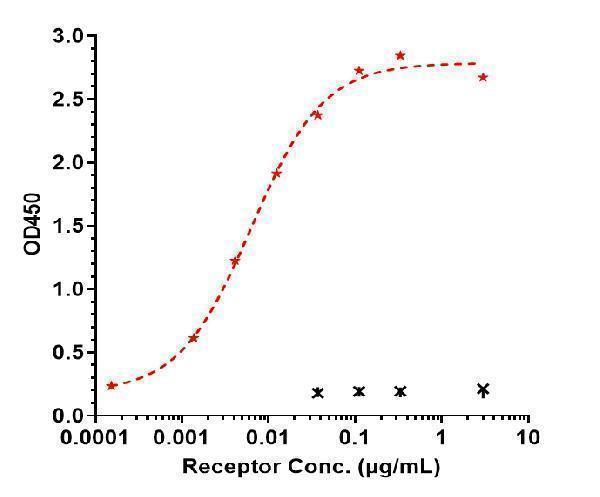 Immobilized Ma TREM2 His at 2 &mug/mL can bind Anti-TREM2 Reference Antibody (Py314)