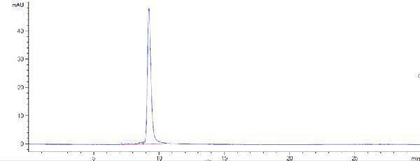 The purity of Anti-TREM2 Reference Antibody (Py314)is more than 97