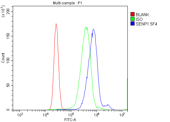  Flow Cytometry analysis of K562 cells using anti-SENP1 antibody (M02156-1)
