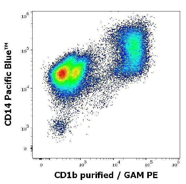 m02158 1 hu cd1b primary antibodies fc testing 1
