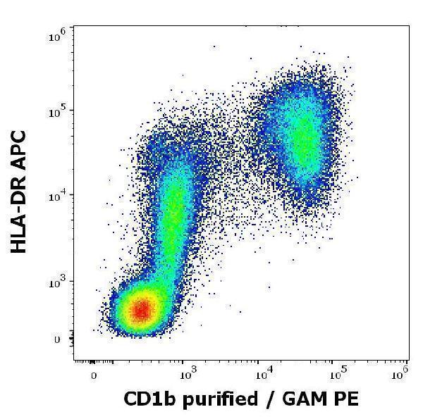 m02158 1 hu cd1b primary antibodies fc testing 2