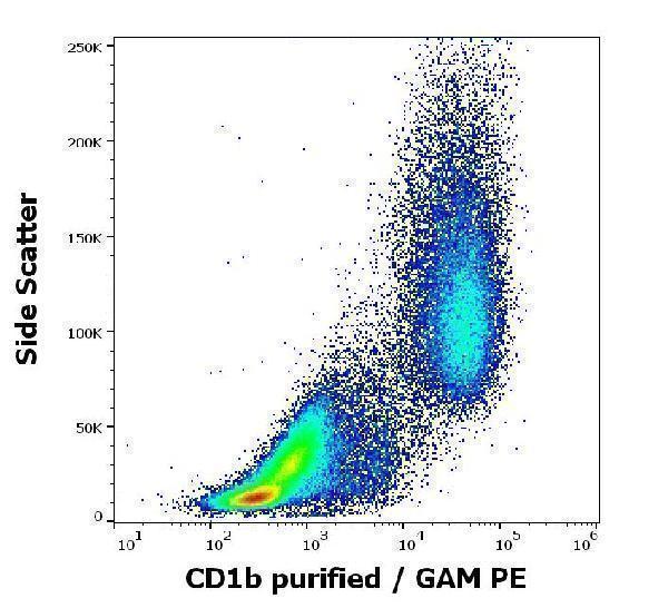 m02158 1 hu cd1b primary antibodies fc testing 4