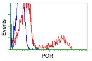 m02166 1 anti cytochrome p450 reductase por mouse monoclonal antibody clone id oti5b3 flow cytometry testing 21