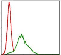 Flow cytometric analysis of HepG2 cells using Rsk-2 Monoclonal Antibody (green) and negative control (red)