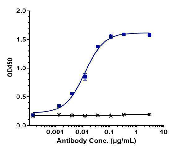 Immobilized human CSF2RB His at 2 &mug/mL can bind Anti-CSF2Rb/CD131 Reference Antibody (CSL311)