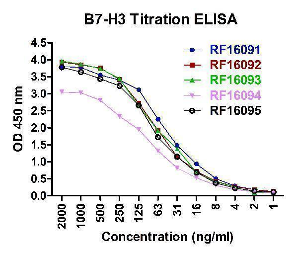m02220 2 cd276 primary antibodies elisa testing 6