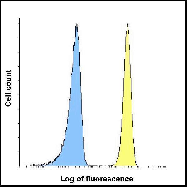 m02220 2 cd276 primary antibodies fcm testing 5