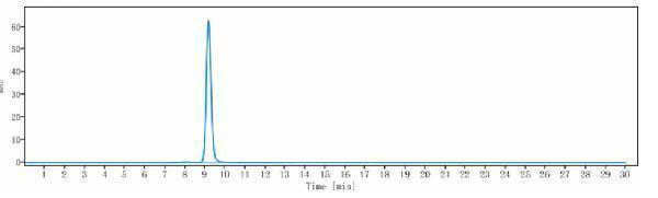 The purity of Anti-B7-H3/CD276 Reference Antibody (Trellis patent anti-B7-H3)is more than 95%