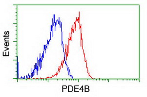 m02228 anti pde4 pde4b mouse monoclonal antibody clone id oti1d12 flow cytometry testing 11